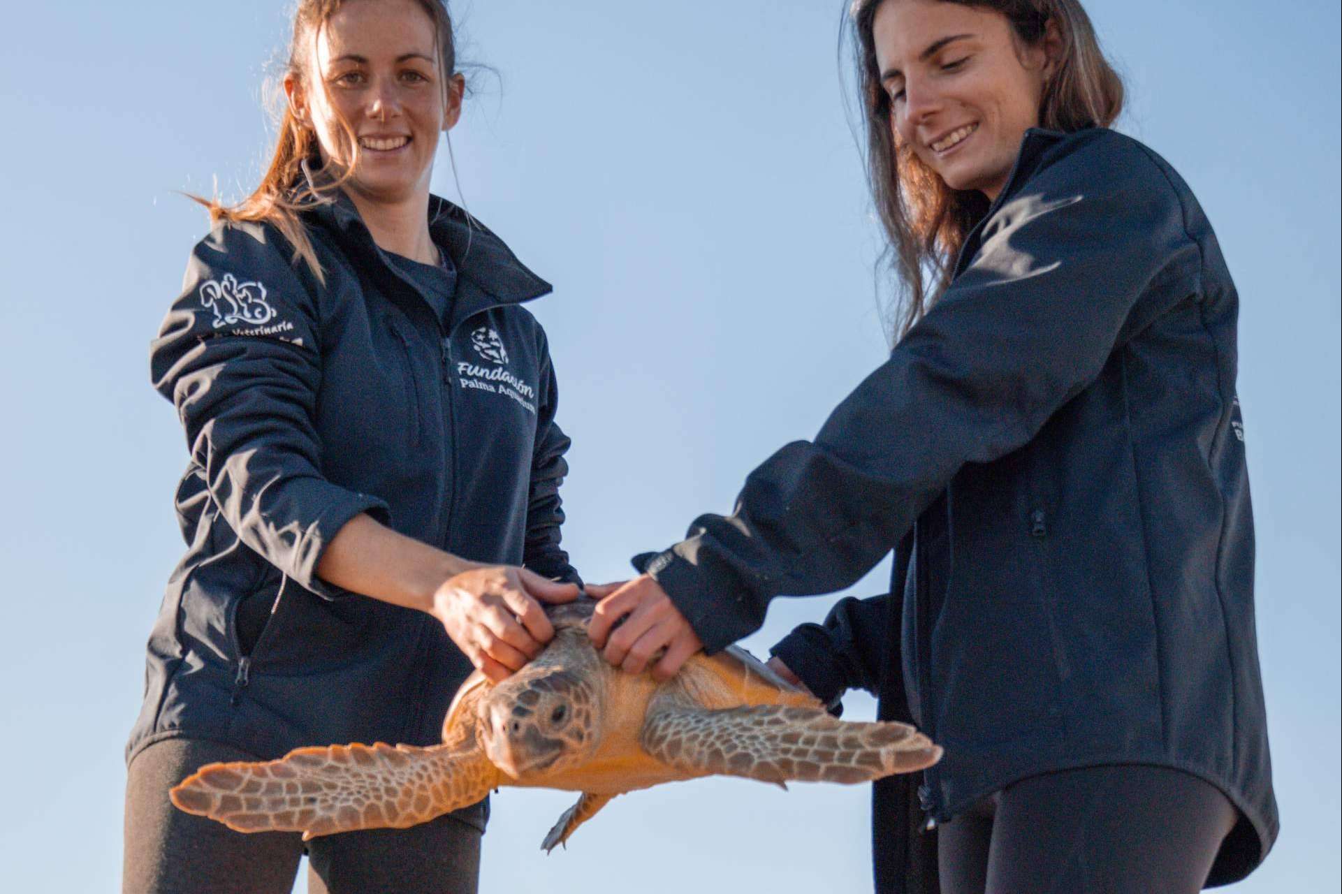 Palma Aquarium lanza ‘Som de la Mar’ con una fiesta benéfica por el Día de las Islas Baleares