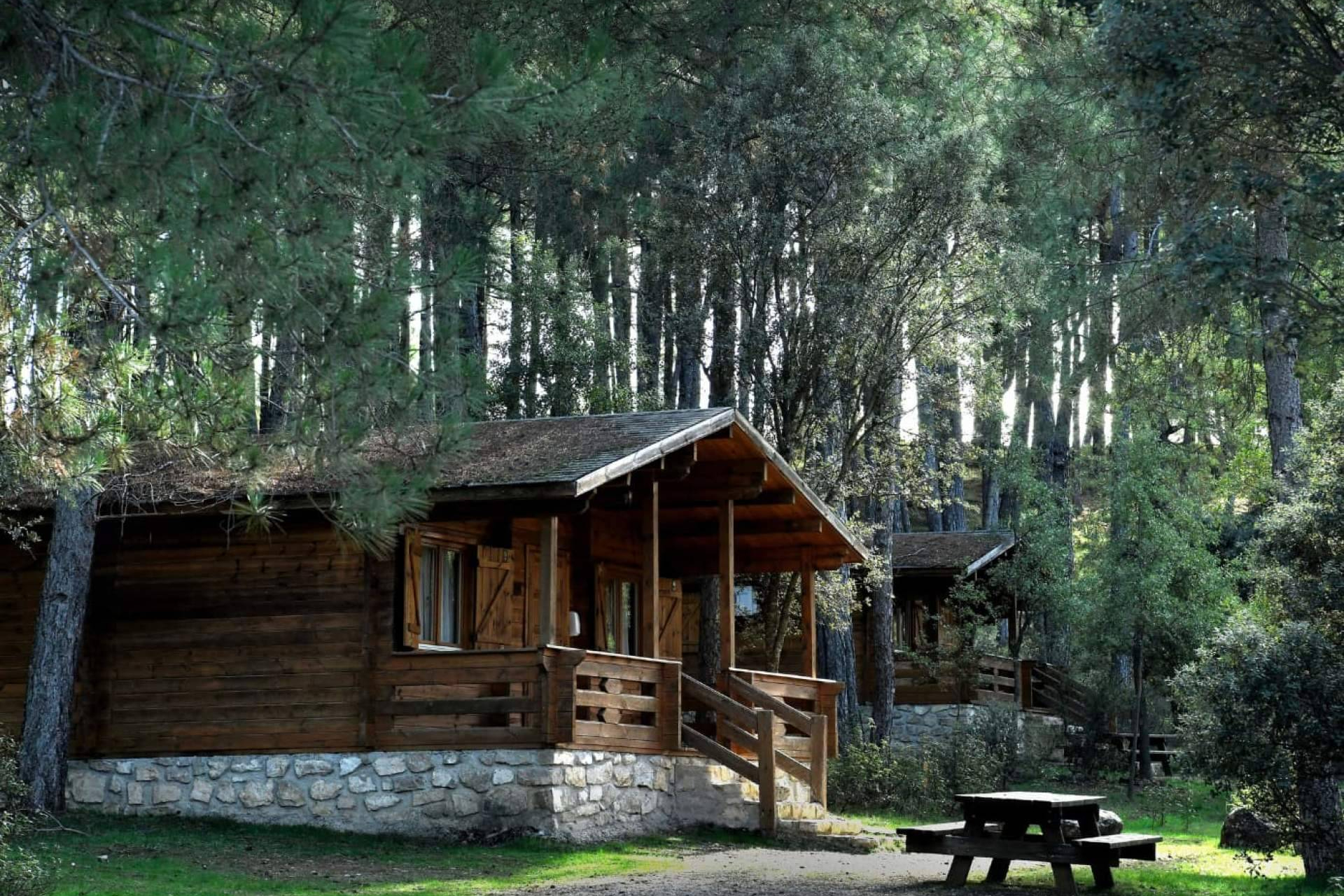 El 'Otoño Rojo' de la Serranía; Cañamares se consolida como destino fotográfico de temporada
