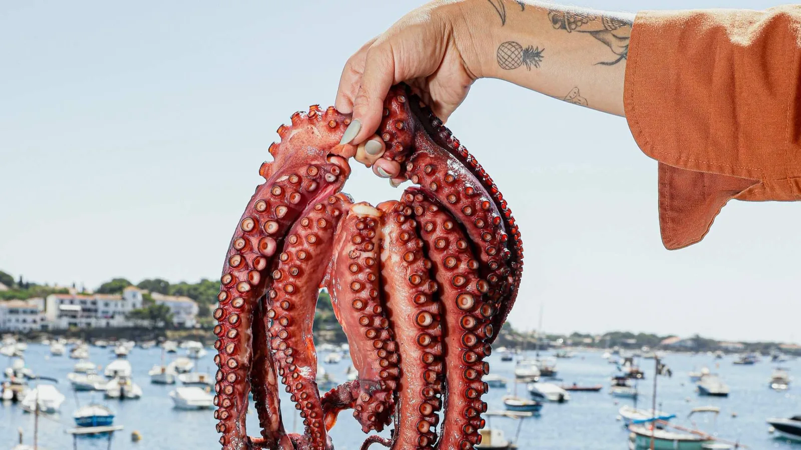 Kampai refuerza su propuesta en Cadaqués con barra omakase, selección de sake y servicios para eventos